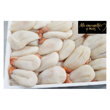 Huevas de choco